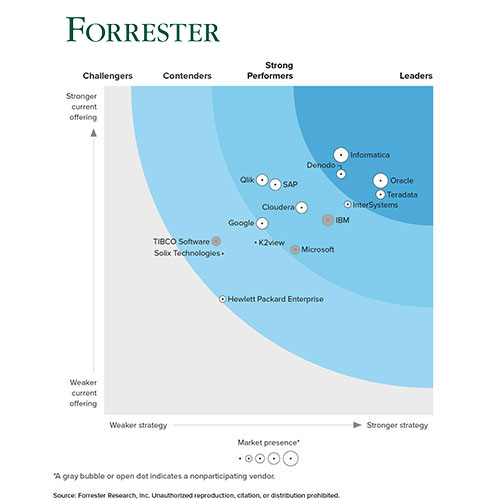 Forrester Wave™：企业数据编织，2024 年 Q1