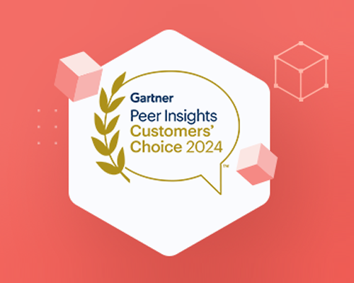 2024 Gartner® Peer Insights™ 客户之声：数据集成工具