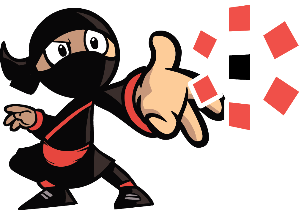 Data Ninja